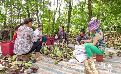 ̫��ɏ��ϲ�@�S��