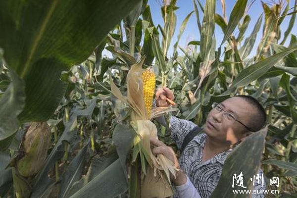 �����^(q��)�r(n��ng)���ƏV�����������׌����p��Nֲģʽ