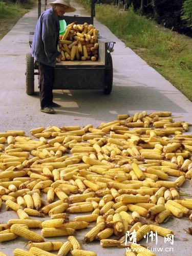 �r(n��ng)�����������������ի@������