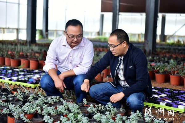 �Vˮ��������(g��u)�����H���塱���������P(gu��n)ϵ