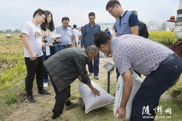 �S�����r(n��ng)�I(y��)�ֽM���r(n��ng)�I(y��)���Ҍ������(zh��n)��Y�Ƀ�(y��u)���������߮a(ch��n)���P(gu��n)ʾ��Ƭ�F(xi��n)������y�a(ch��n)���