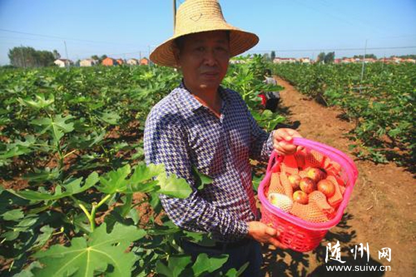 �S�h�����(zh��n)�����e�O(li��n)�j���ℓ(chu��ng)�I(y��)���˷��l(xi��ng)Ͷ�Y