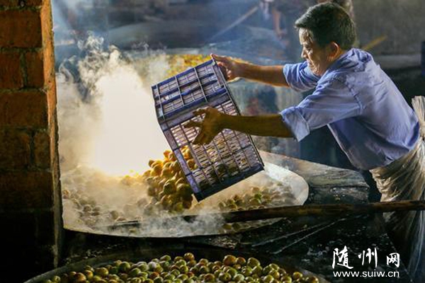 �S�h�ƿh�(zh��n)ͨ�^�l(xi��ng)���Ύ����ۗ����N