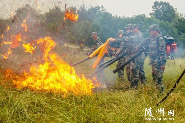 �S�h���䲿�M����(y��ng)�����(du��)�(du��)�T�M(j��n)����һ�ܵ�ɭ�֜��Ӗ(x��n)