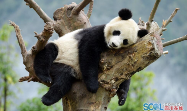 ����؈�������Օr��