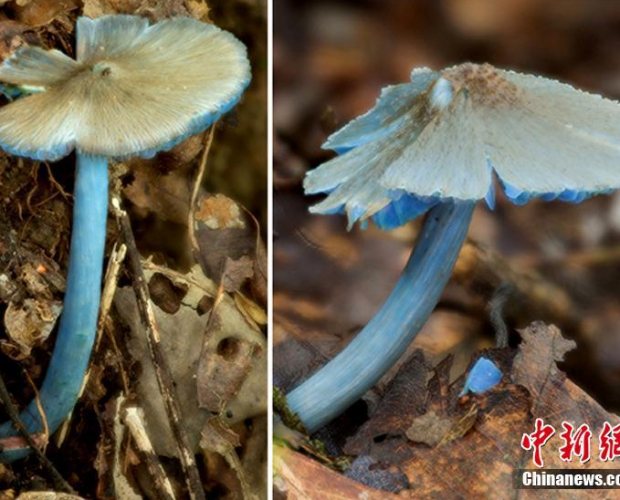 ��������ˆT���ϰl(f��)�F(xi��n)���{���㹽�������³ɆT