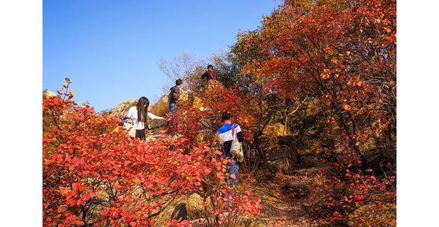 �Fɽ�t�~ӭ������^�p��