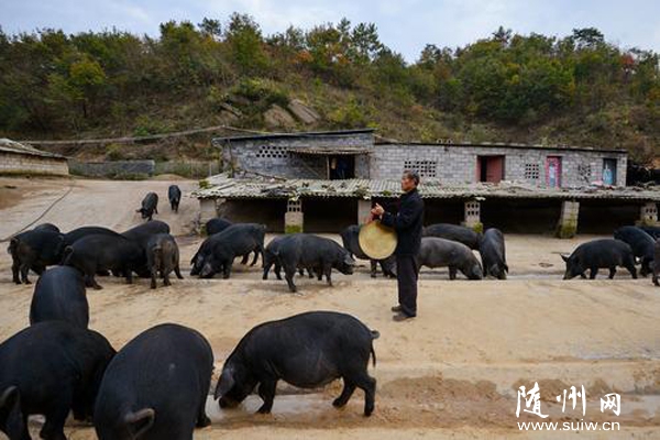 �S�h̫����L(f��ng)�����م^(q��)�ϻ������B(t��i)�r(n��ng)�I(y��)�@