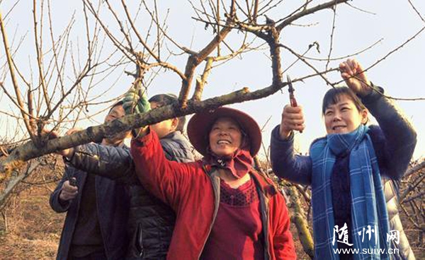 ��Ո(q��ng)�r(n��ng)����(zhu��n)������Óؚ