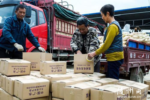 �L�X�}������N