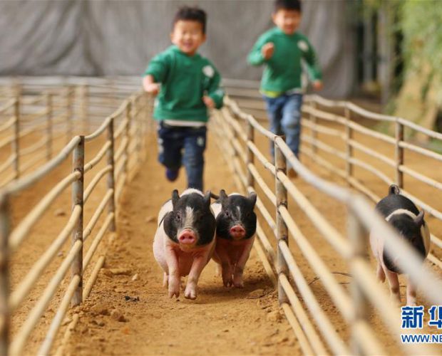 ���ܰ���С�i!