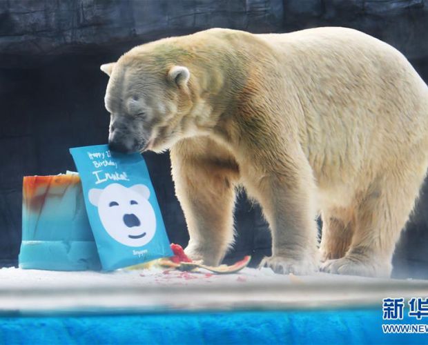 �¼�����@�鱱�O����Ŭ���c��