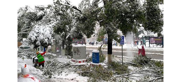 �@�ֹ���������Ϸeѩ�ͱ�ѩ����Ę�֦