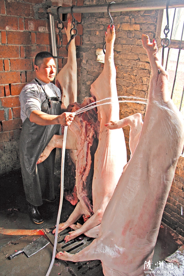 ϲ�����iӭ������