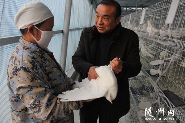 �����^(q��)�ƅf(xi��)�ͷ��B(y��ng)���a(ch��n)�I(y��)�l(f��)չ������(d��ng)�r(n��ng)�������¸�