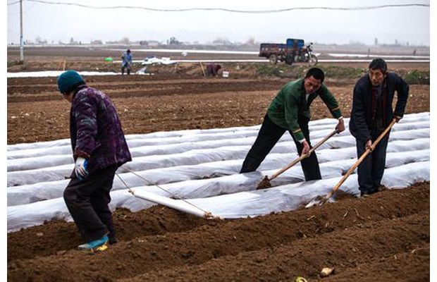 ��ϸ߉ŷNֲ�R���