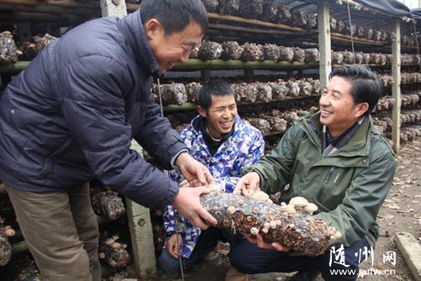 ָ���㹽���a(ch��n)