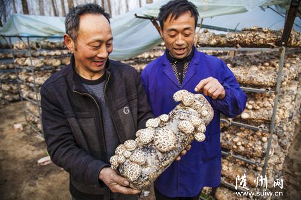 ��(chu��ng)�½ӷN���ù�