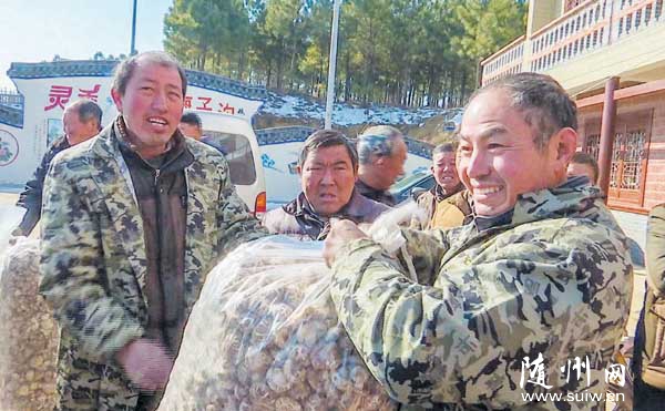 �㹽���׼t���