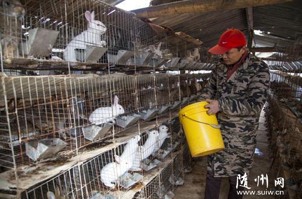 �ԌW�����B(y��ng)ֳ���g(sh��)