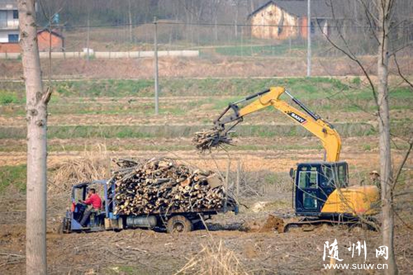 ���ɞ顰�Gɫ�y�С�