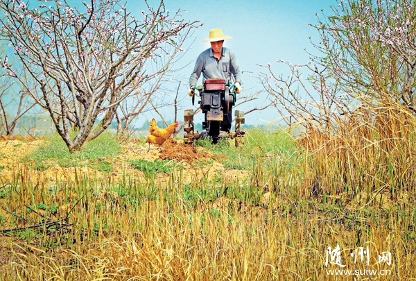 �_չ�������a(ch��n)