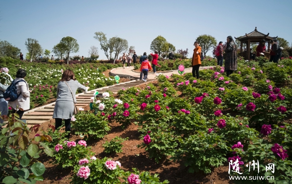 ����ĵ���@��u�M(j��n)������p����