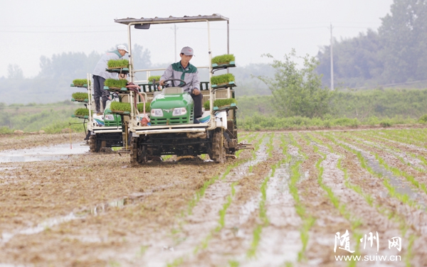 �r(n��ng)���{����C(j��)����