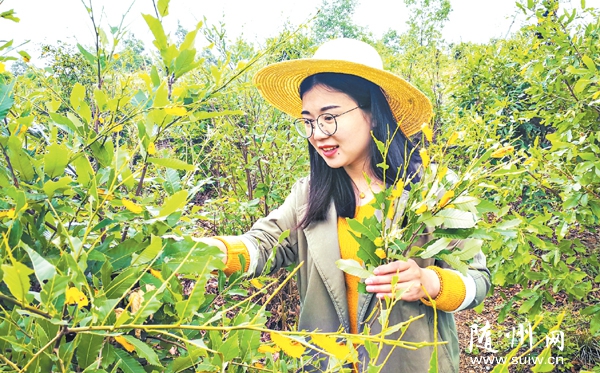 ���Ù����YԴ ���M(j��n)�a(ch��n)�I(y��)���d