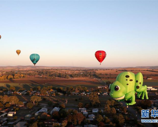 ���������w����