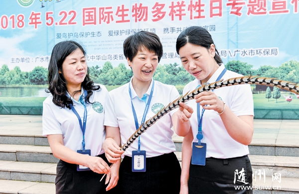 �P(gu��n)��(��i)Ұ����(d��ng)�������o(h��)���ü҈@