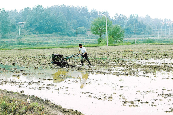 �����r(n��ng)��