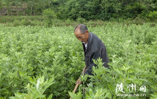 ������Óؚ