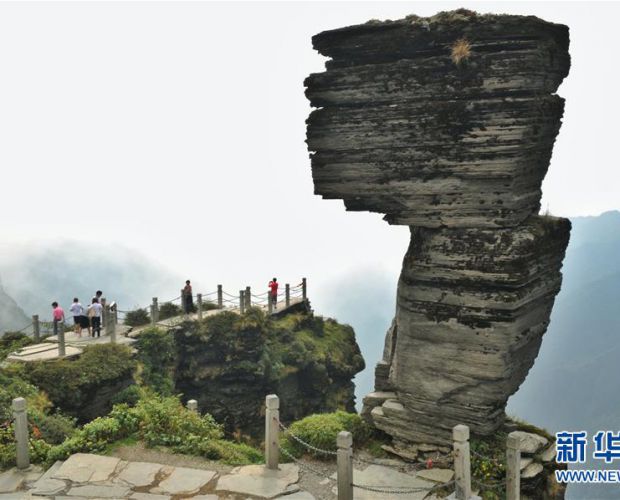 �F�����ɽ��ʽ���������z�a(ch��n)���