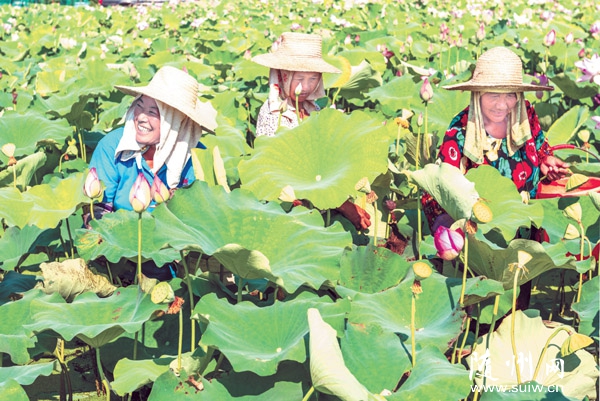 ��ե���Nֲ̫��ɏ