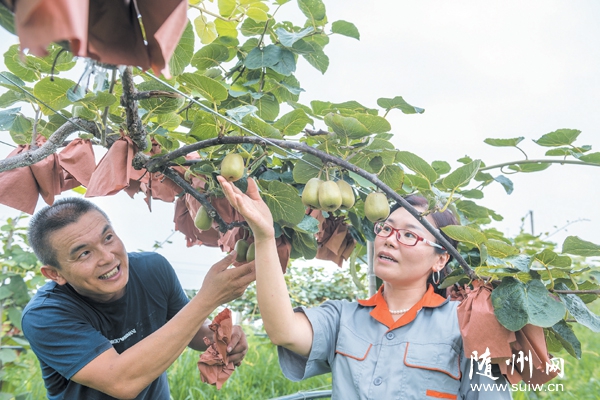 �Vˮ���X��˾����(d��o)��߅�r(n��ng)��Nֲ�J����