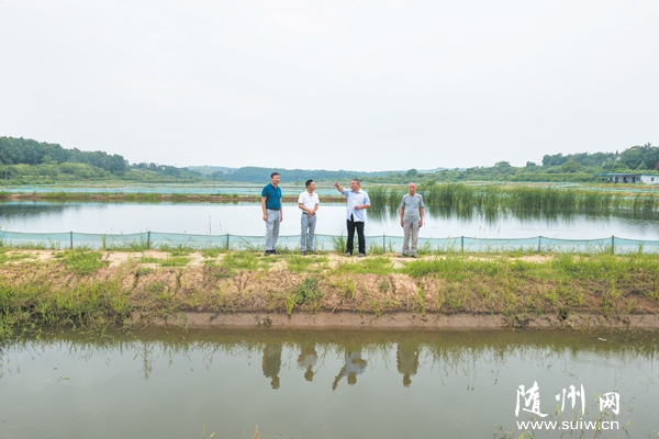 �l(f��)չ���r�B(y��ng)ֳ