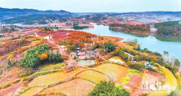 �񸻴��������L(f��ng)