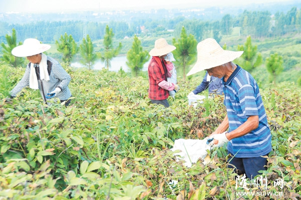 ����ĵ����ϲ�@�S��