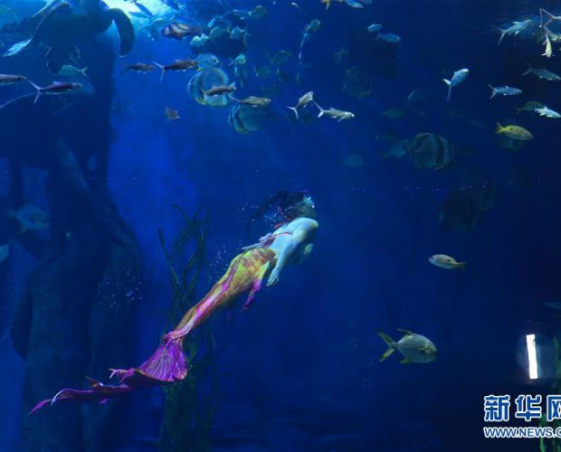 ���á������~�� ���������