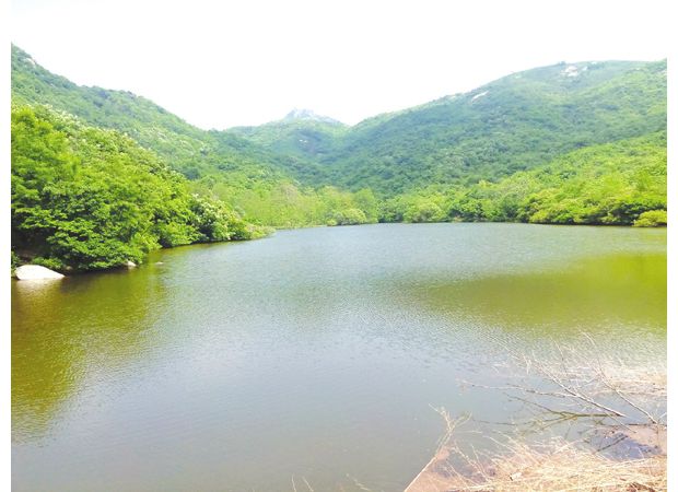 �����(zh��n)��Ȫ��