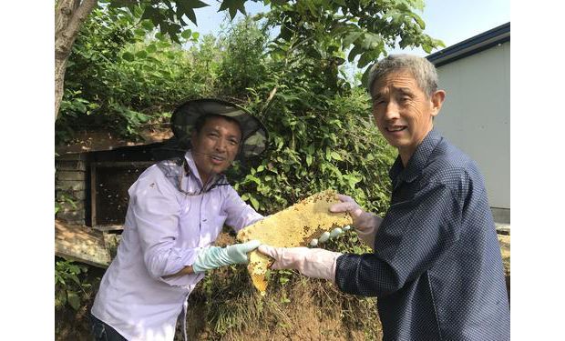 �B(y��ng)��Óؚ