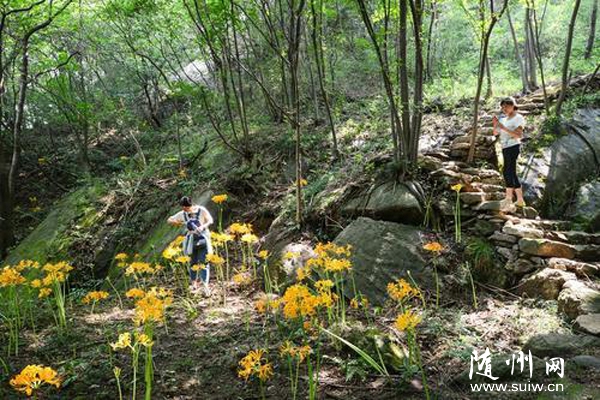 �S�h�l(f��)�F(xi��n)����eҰ���S��ʯ��