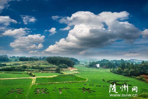 �Vˮ����ˇ�g(sh��)