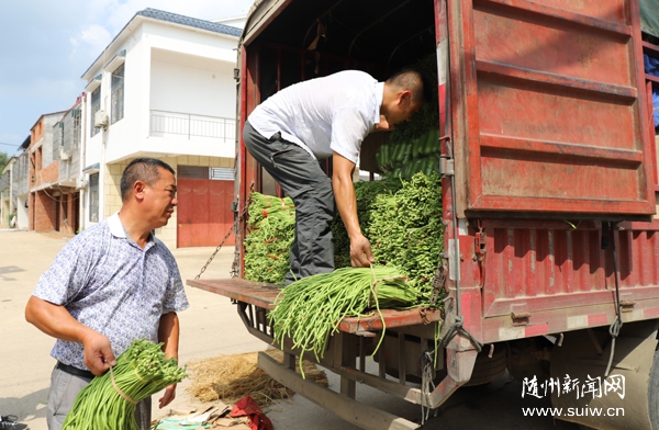 �l(f��)չ�߲˷Nֲ�Ŀ