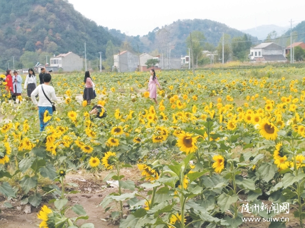 ��Դ�������翗