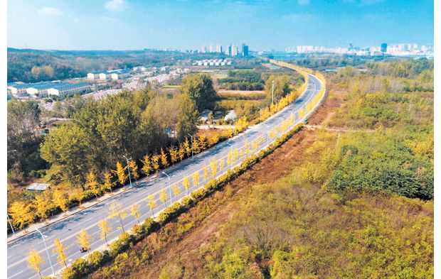 ���S������