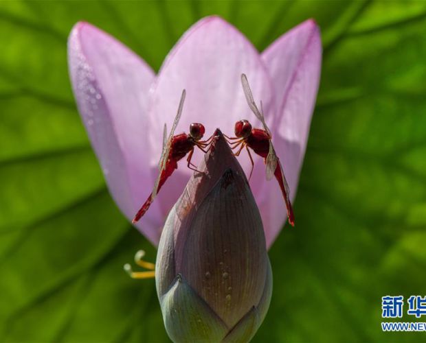 ���ѡ������^