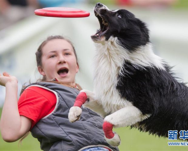 ���ȹ������\��