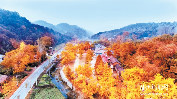 �����^(q��)����(zh��n)���ҺӴ������l(xi��ng)��